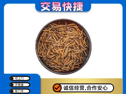 九江礼品回收虫草.jpg